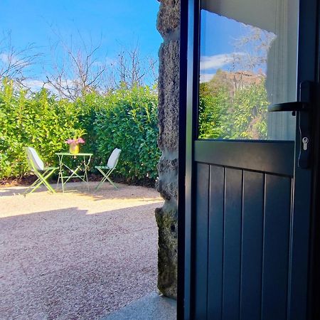 Agroturismo Quinta De Travancela Amarante Εξωτερικό φωτογραφία