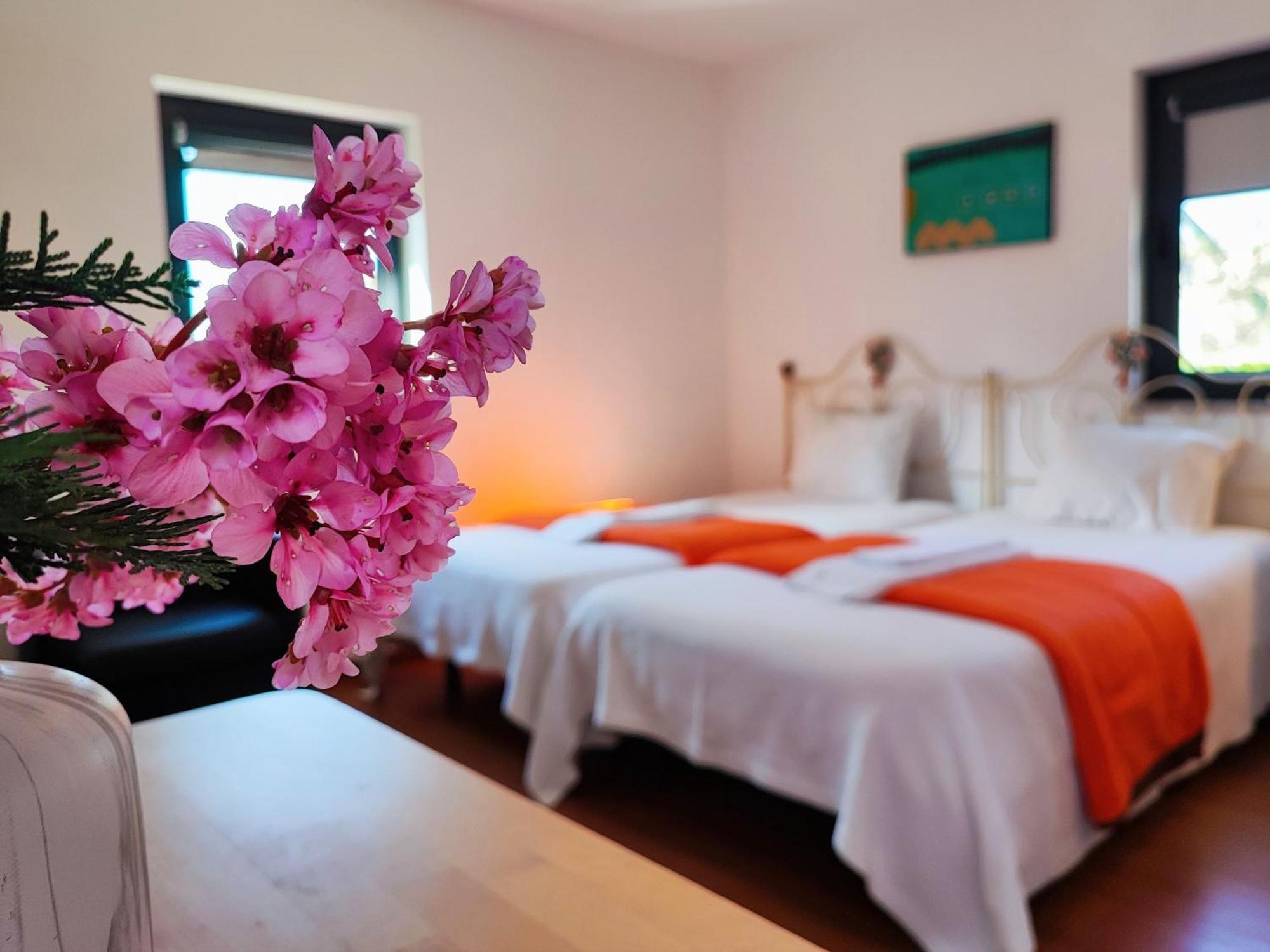 Agroturismo Quinta De Travancela Amarante Εξωτερικό φωτογραφία