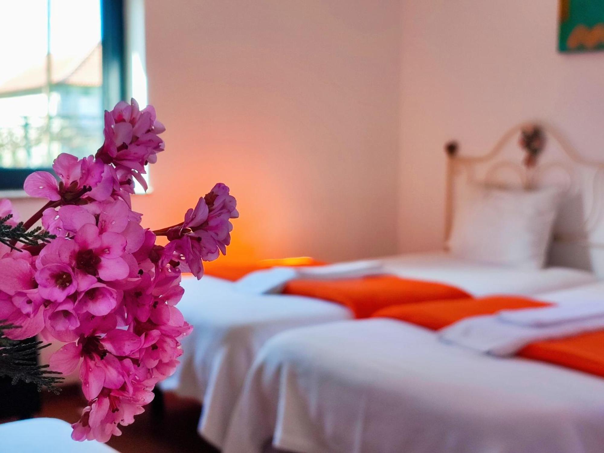 Agroturismo Quinta De Travancela Amarante Εξωτερικό φωτογραφία