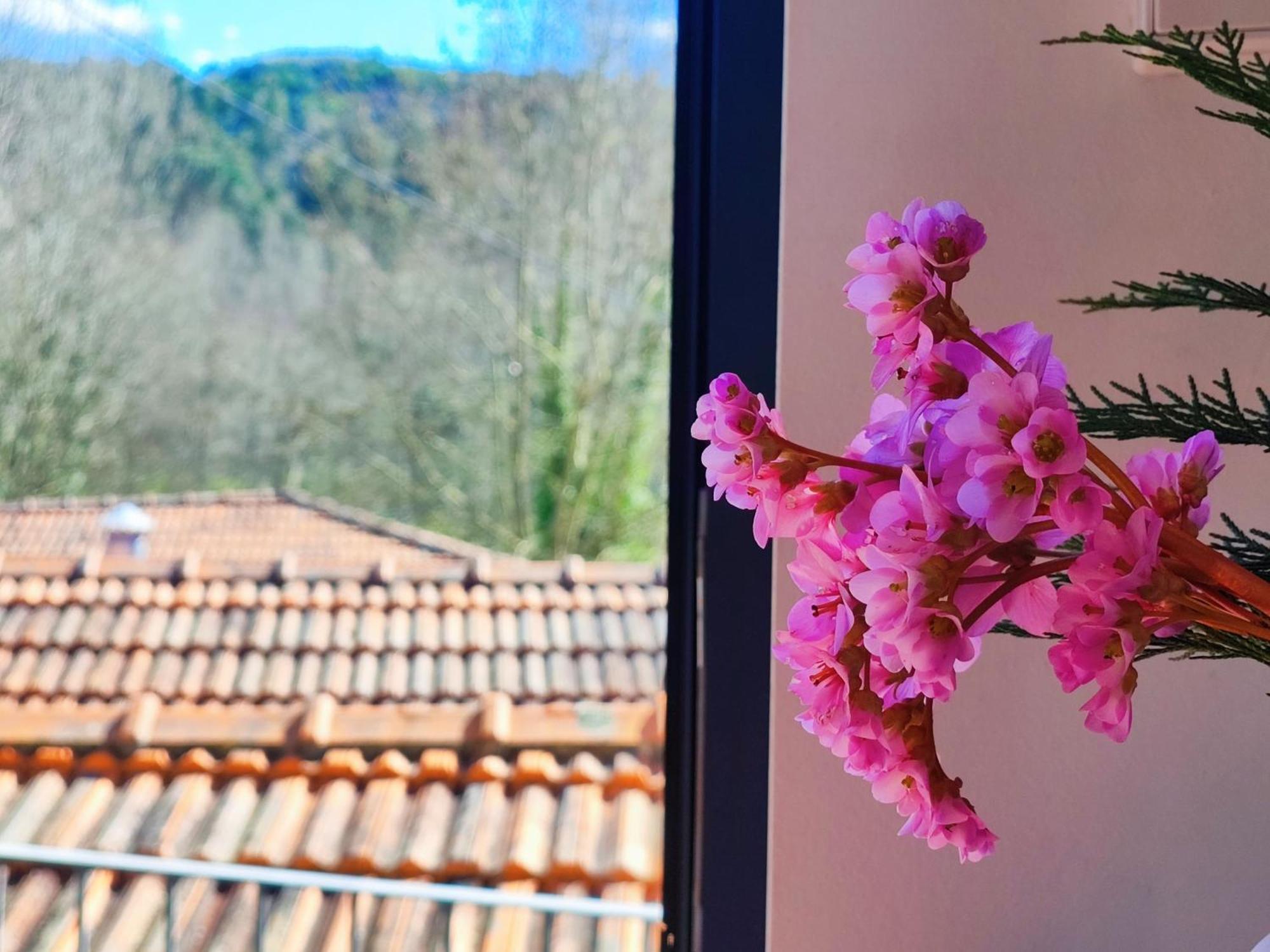 Agroturismo Quinta De Travancela Amarante Εξωτερικό φωτογραφία