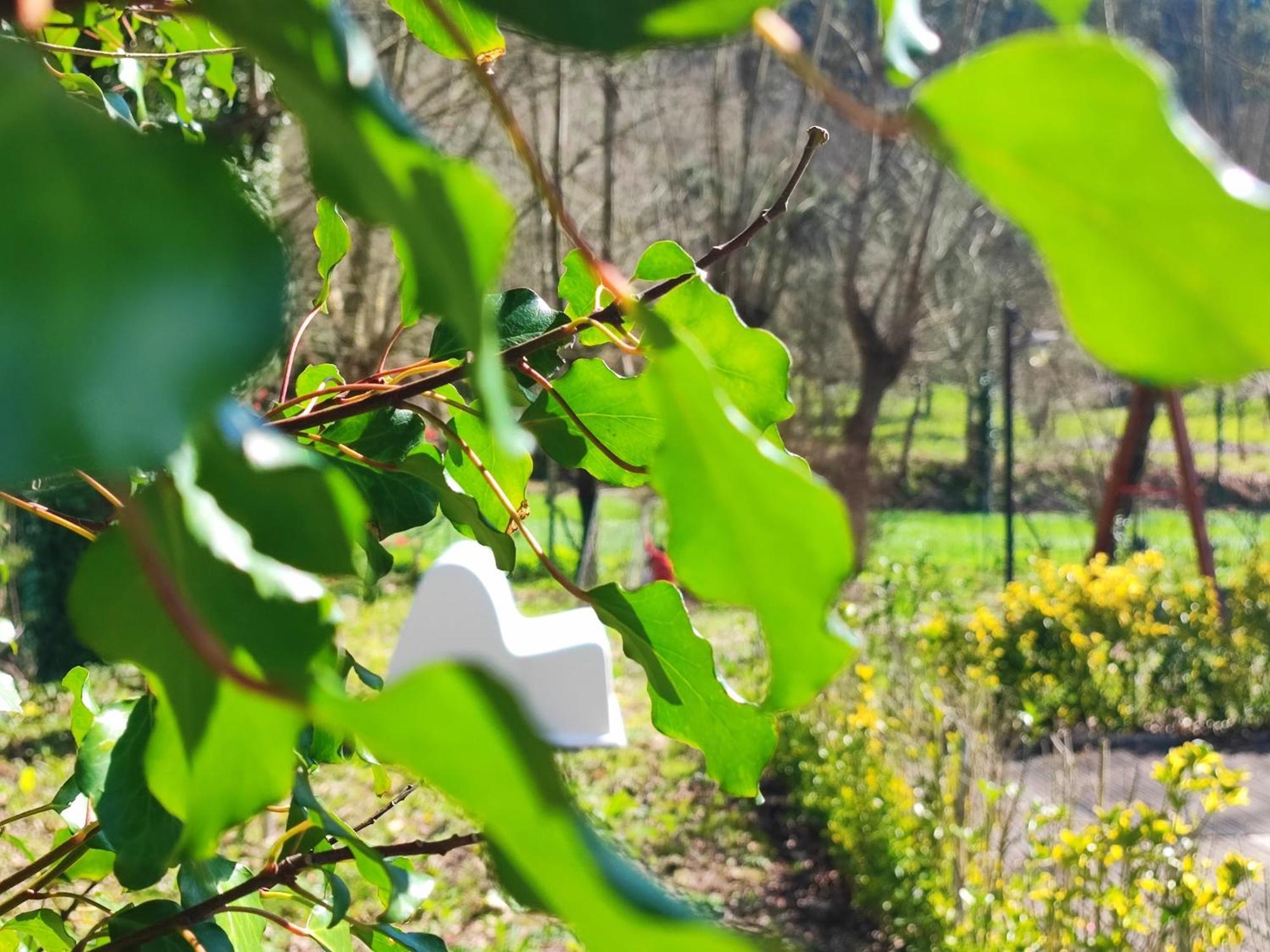 Agroturismo Quinta De Travancela Amarante Εξωτερικό φωτογραφία